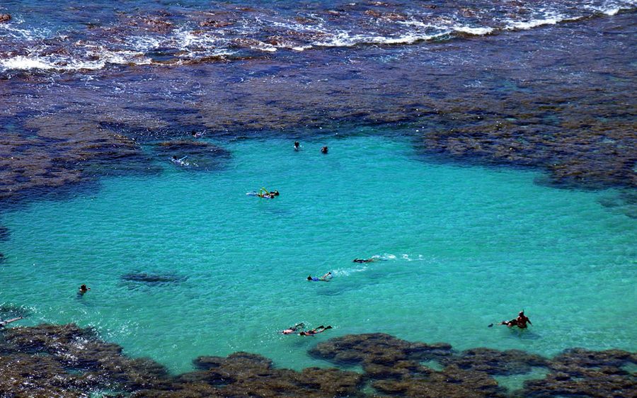 Aerial view of swimmers snorkeling in a turquoise lagoon off Honolulu