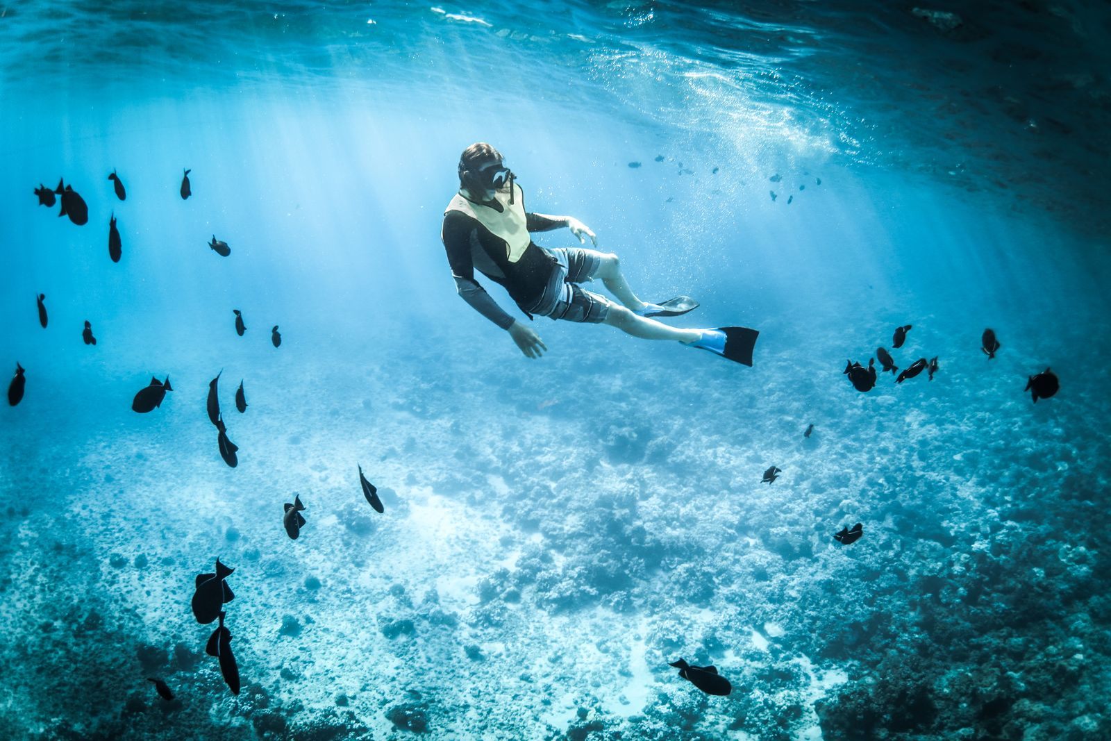 Snorkeler swimming over a reef in clear turquoise water